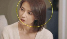 老汪爆料支架视频播放,老汪独家爆料带你领略科技魅力