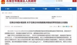 石家庄高中爆料新闻报道,揭秘校园生活幕后故事