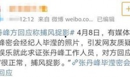 卓伟爆料大瓜视频大全集,揭秘娱乐圈幕后真相